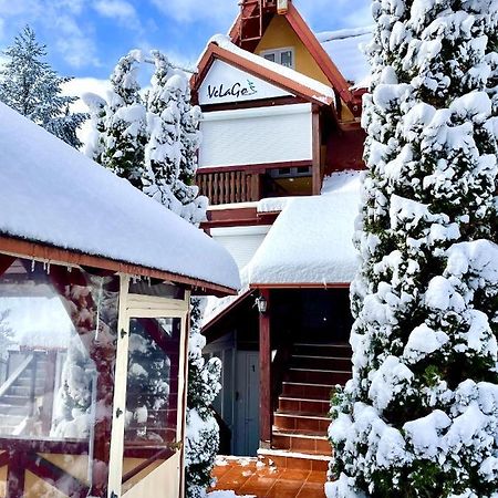 Apartment Velago Zlatibor Eksteriør bilde
