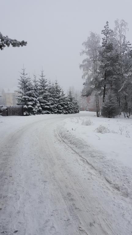 Apartment Velago Zlatibor Eksteriør bilde