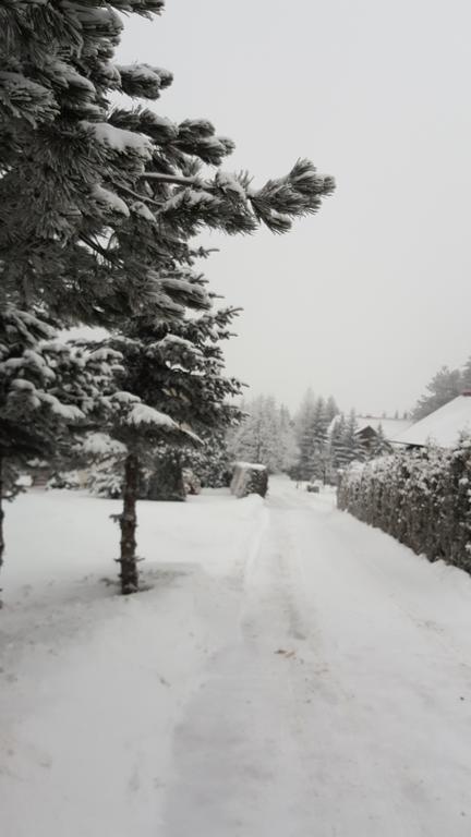 Apartment Velago Zlatibor Eksteriør bilde